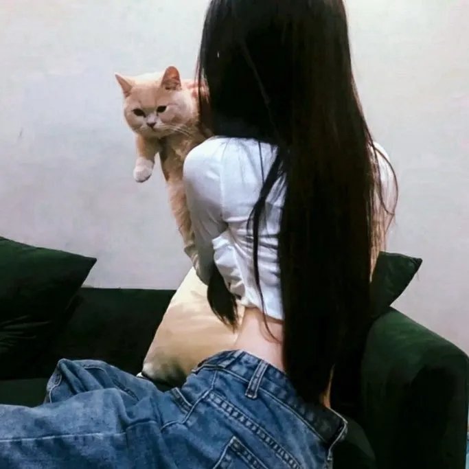 夜总会奇杀案